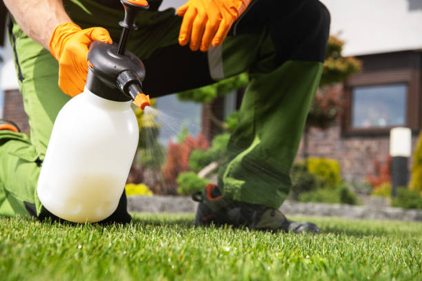 Best Pest Removal Services  in Liberty City, TX