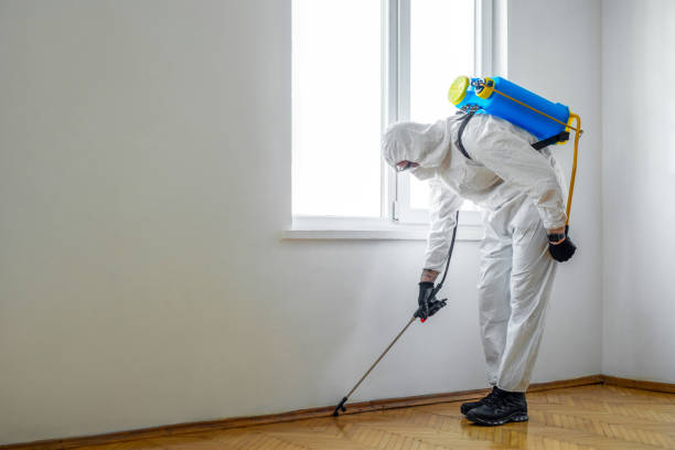 Professional Pest Control in Liberty City, TX